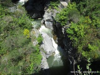 Ponte Serravalle